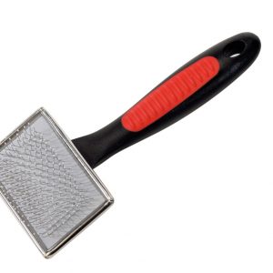 Carda para perro y gato.