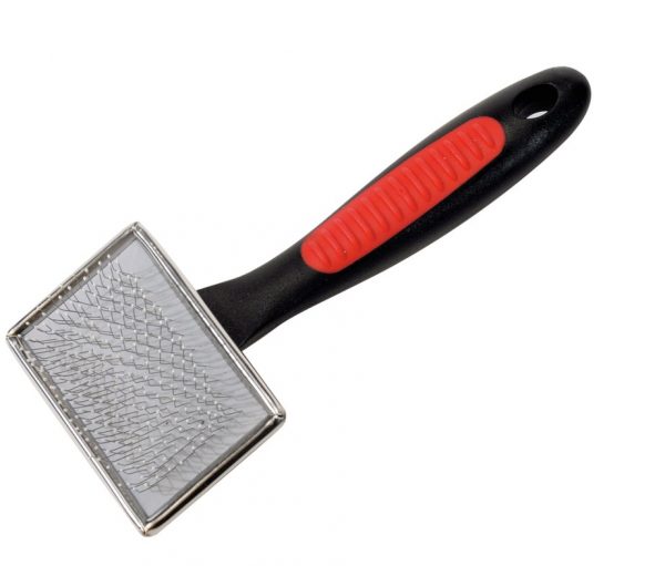 Carda para perro y gato.