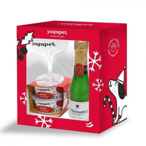 Caja de Navidad con champán + copa + 2 yogures