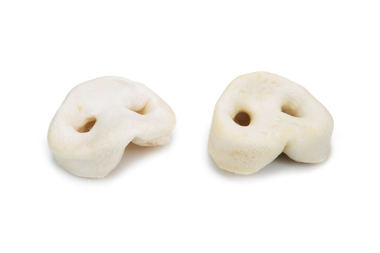 Morro de cerdo inflado, 5 uds