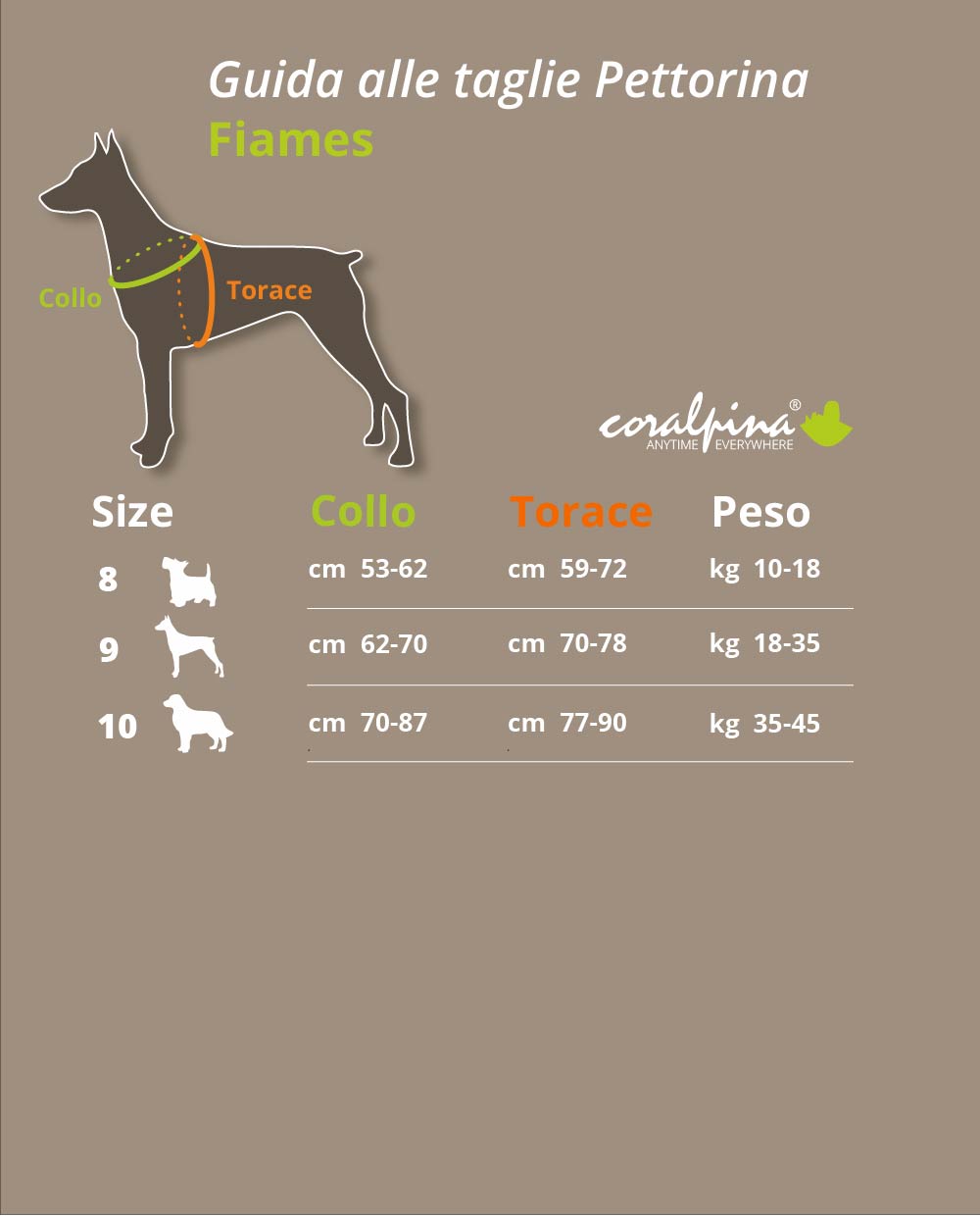 Arnés Fiames. - Imagen 2