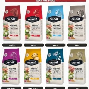 Ownat Classic. Perro.